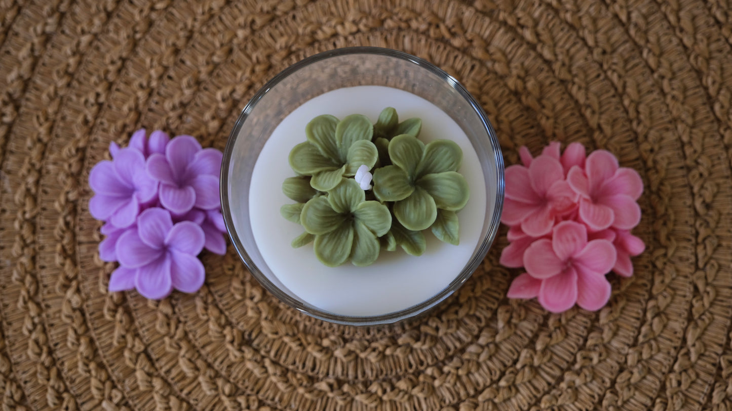 Plumeria flower candle in a jar with green, purple and pink options