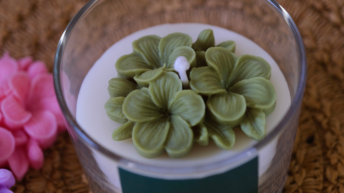 Green plumeria flower candle