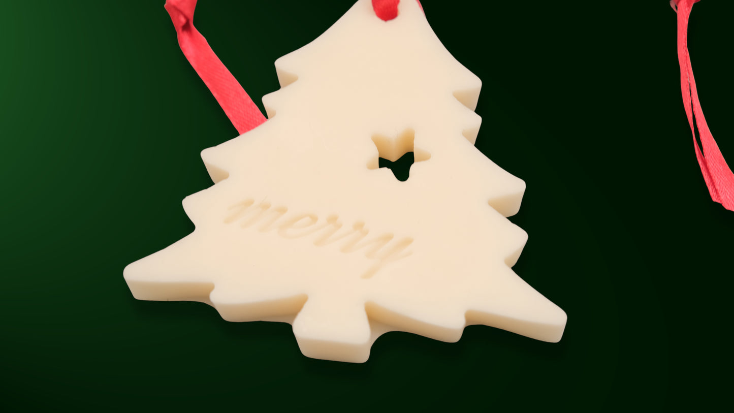 Holiday Ornament Duo